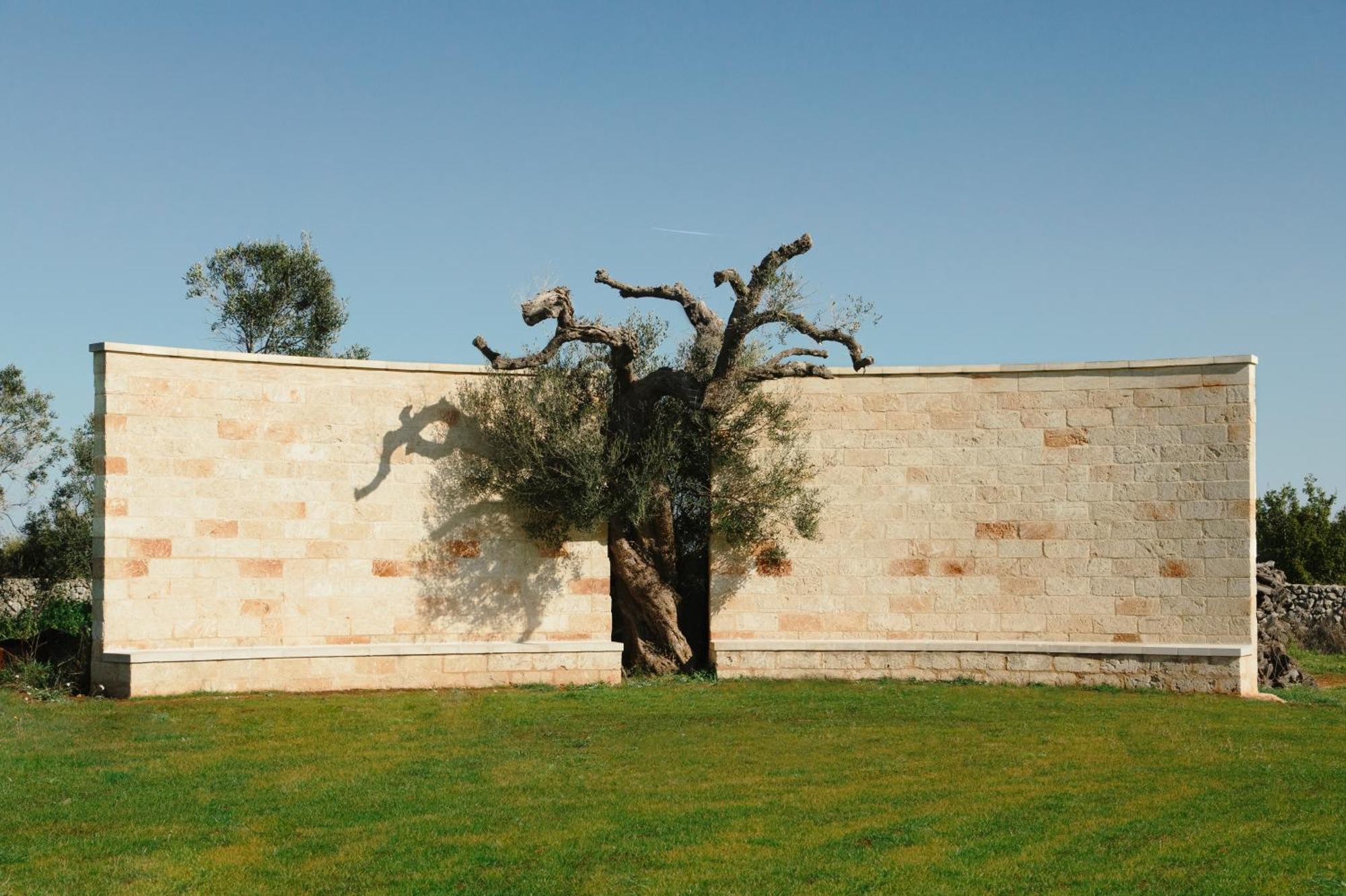 Secolario Masseria Del Viverbene Palmariggi Extérieur photo