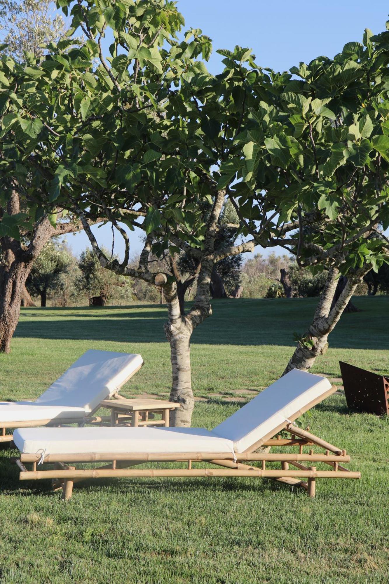 Secolario Masseria Del Viverbene Palmariggi Extérieur photo