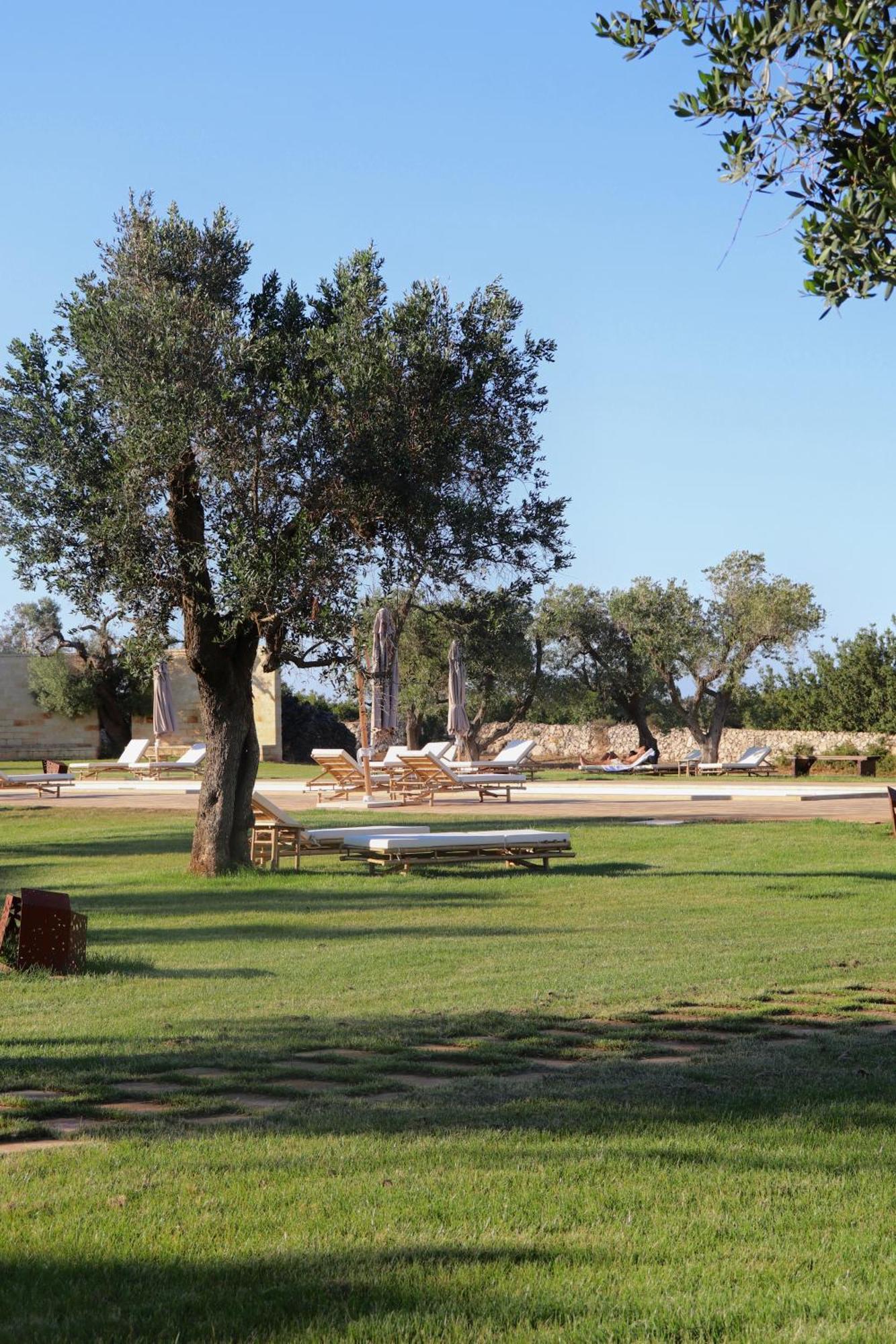 Secolario Masseria Del Viverbene Palmariggi Extérieur photo